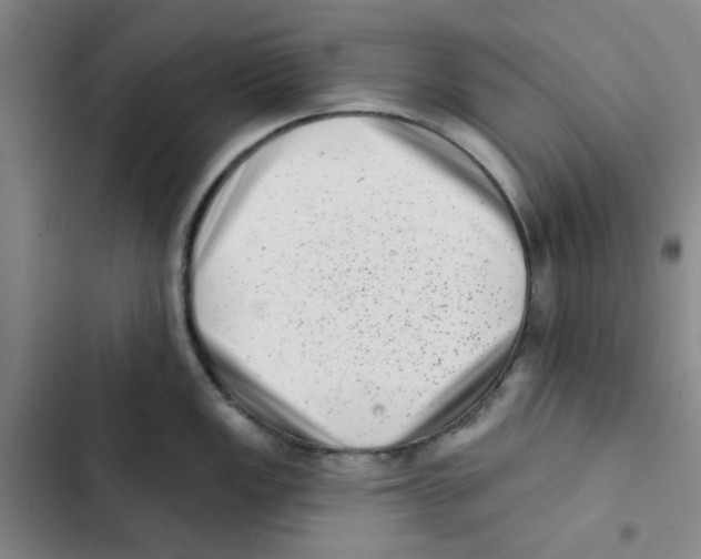 X0000102831149200809151033