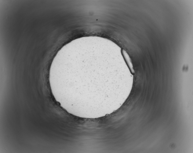 X0000102831153200809151033