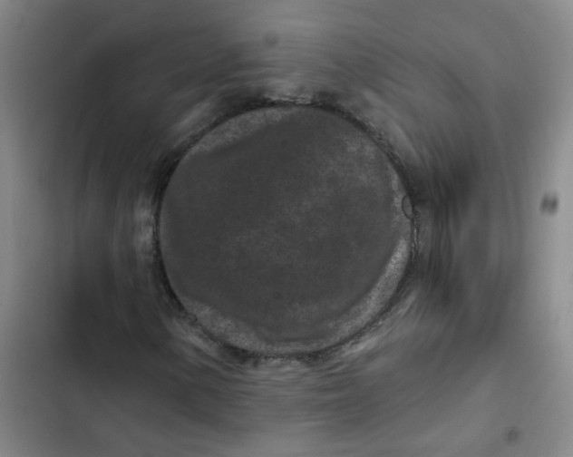 X0000102831154200809151033