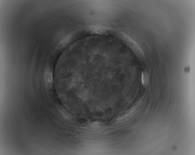 X0000102831155200809151033