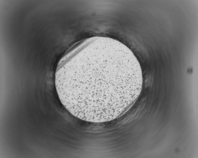 X0000102831156200809151033