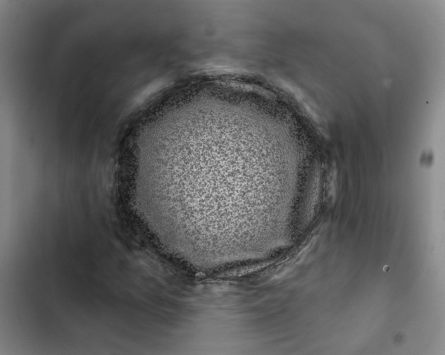 X0000102831157200809151033