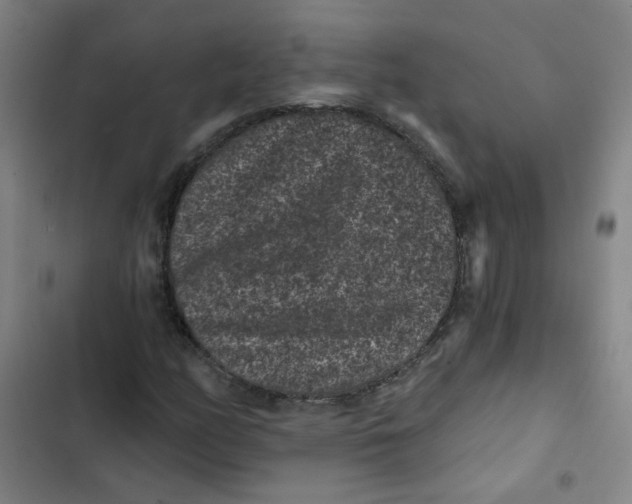 X0000102831158200809151033