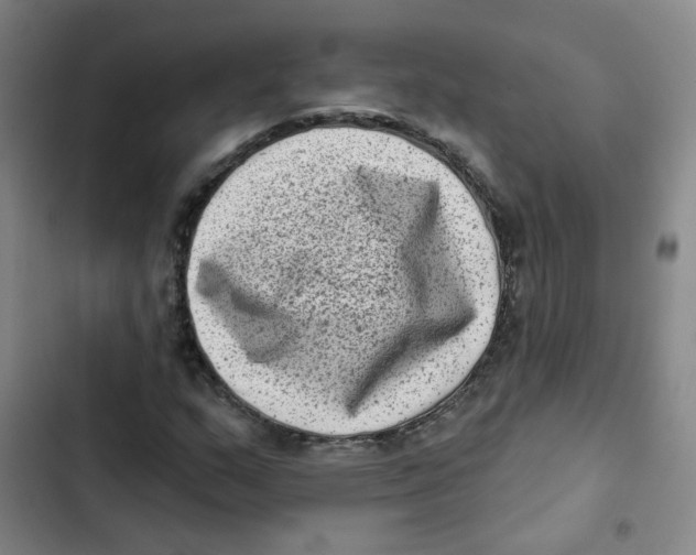 X0000102831159200809151033