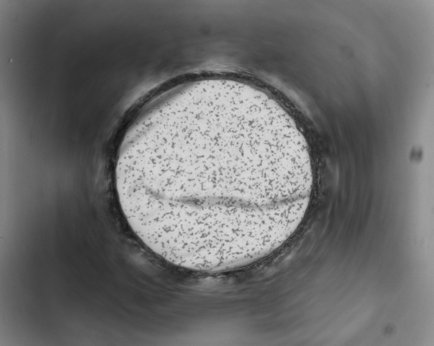 X0000102831160200809151033