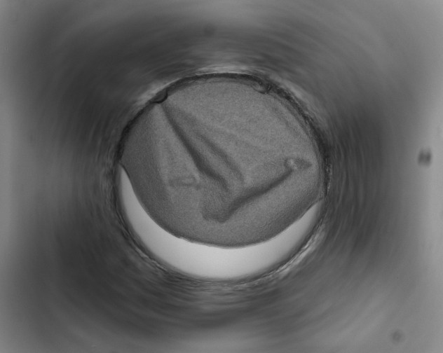 X0000102831161200809151033