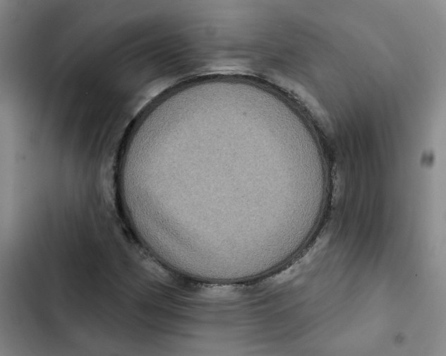 X0000102831162200809151033