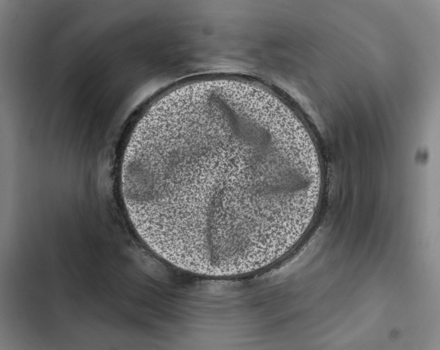 X0000102831163200809151033