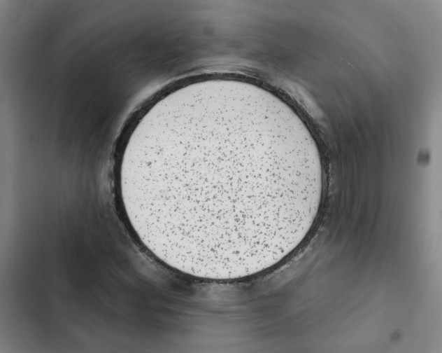 X0000102831164200809151033