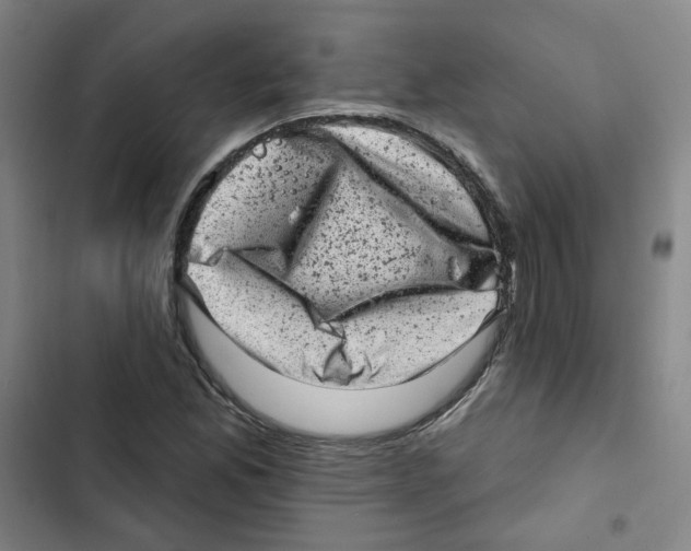X0000102831165200809151032