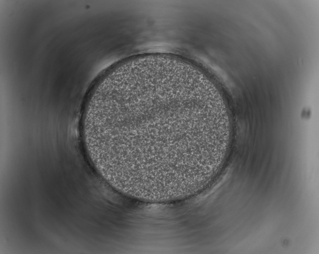 X0000102831166200809151032