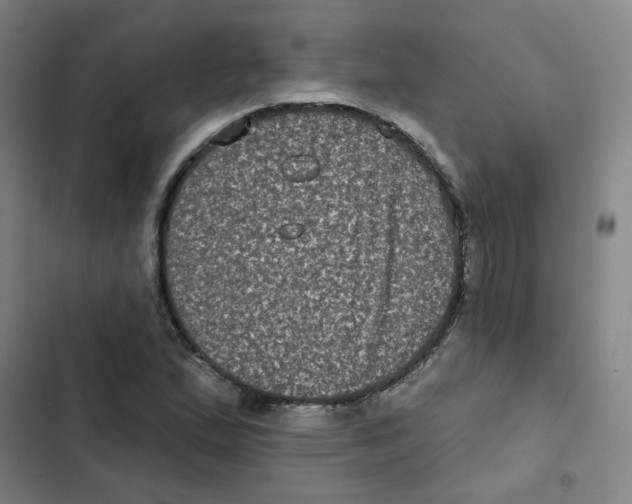 X0000102831167200809151032