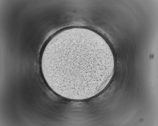 X0000102831168200809151032