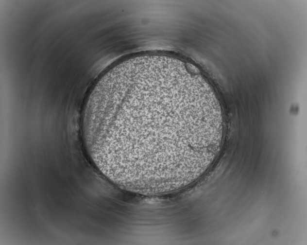 X0000102831169200809151032