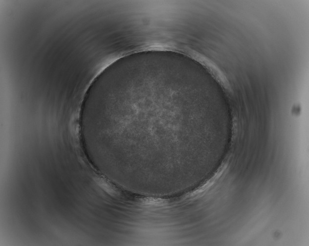 X0000102831170200809151032