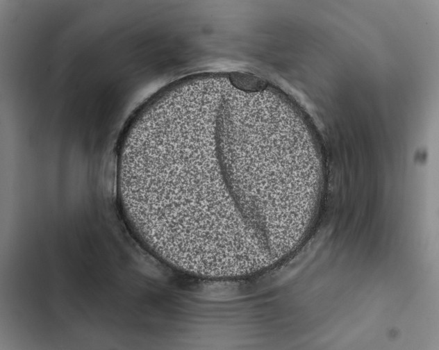 X0000102831171200809151032