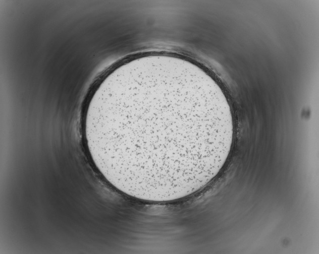 X0000102831172200809151032