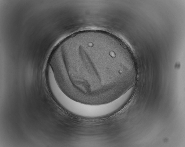 X0000102831173200809151032