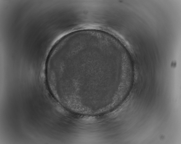 X0000102831174200809151032