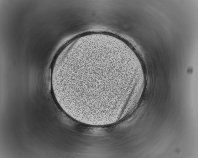 X0000102831175200809151032
