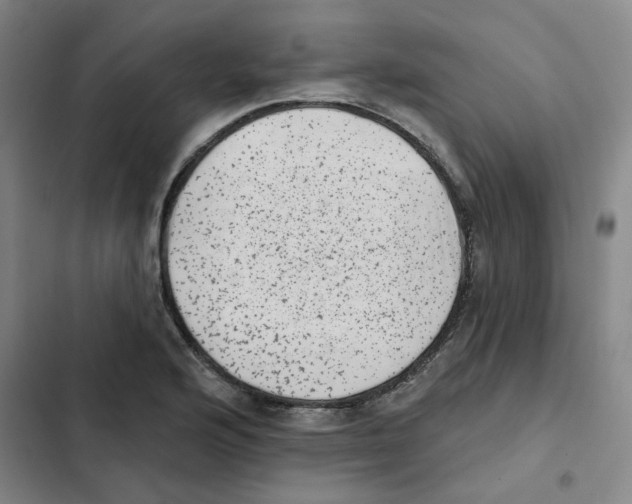 X0000102831176200809151032