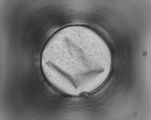 X0000102831177200809151032