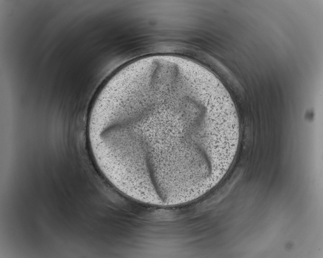 X0000102831178200809151032