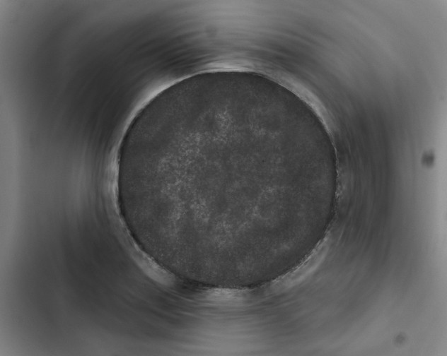 X0000102831179200809151032