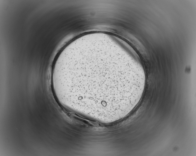 X0000102831180200809151032