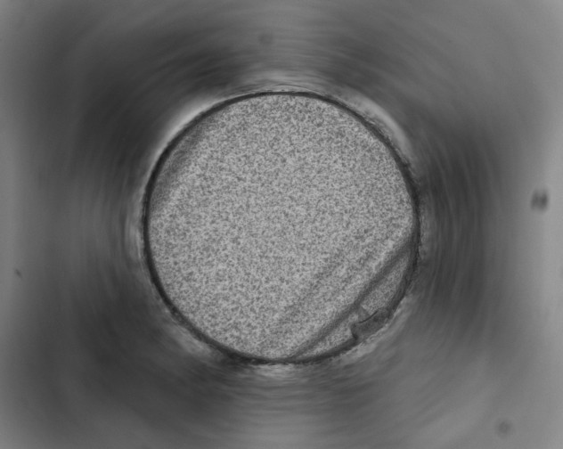 X0000102831182200809151032
