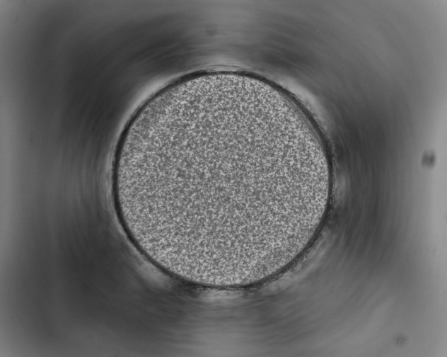 X0000102831183200809151032