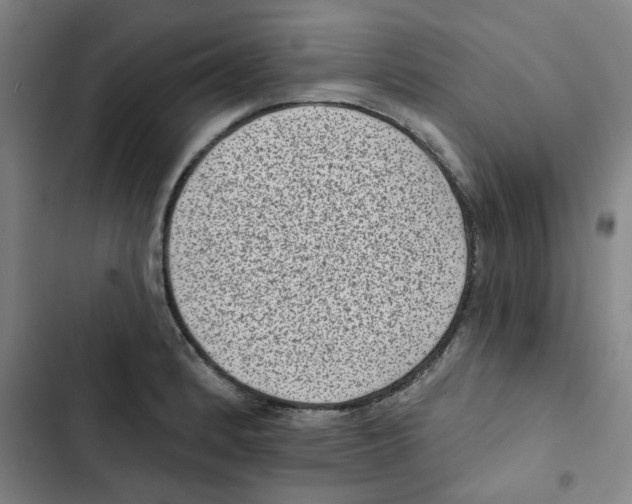 X0000102831184200809151032