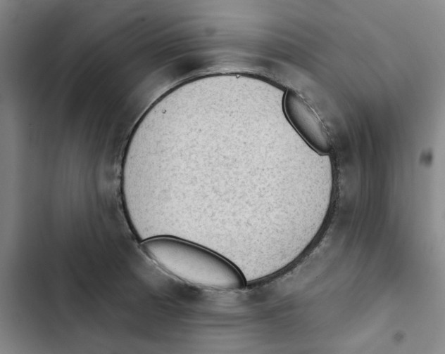 X0000102831185200809151032