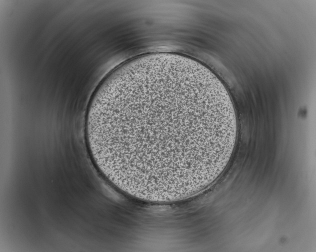 X0000102831186200809151032