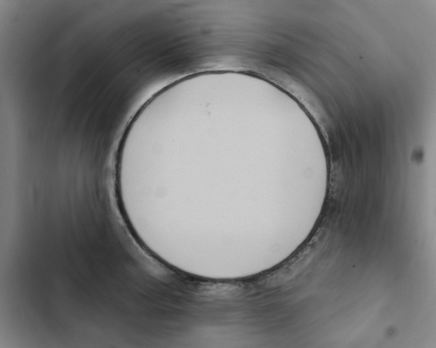 X0000102831187200809151032