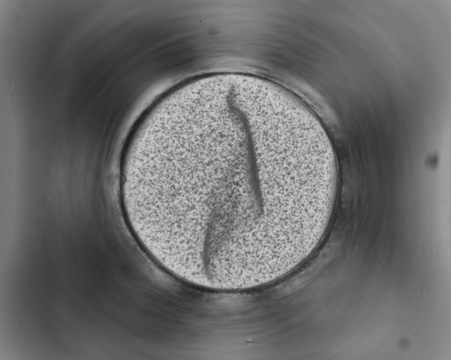 X0000102831188200809151032