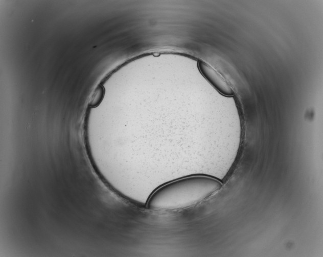 X0000102831189200809151032