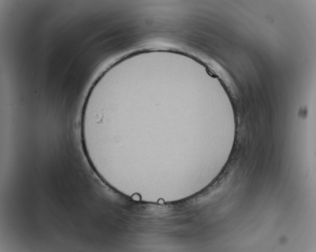 X0000102831191200809151032