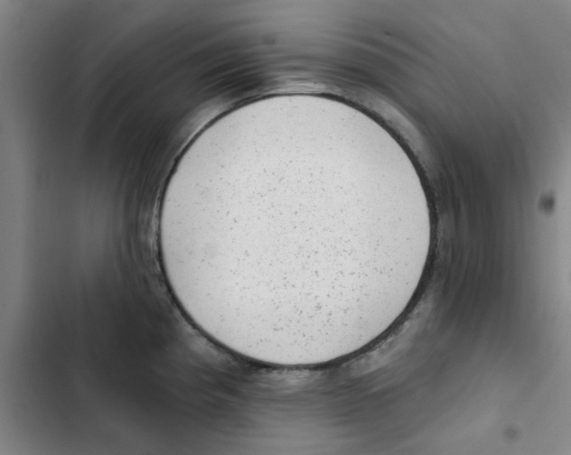X0000102831193200809151032
