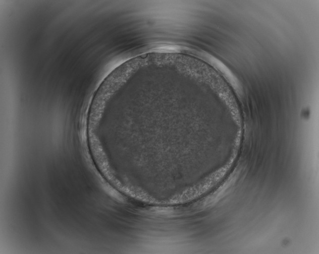 X0000102831194200809151032