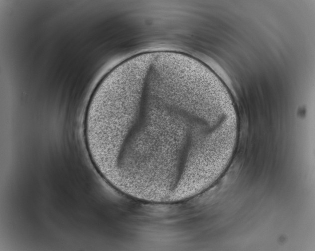 X0000102831197200809151032
