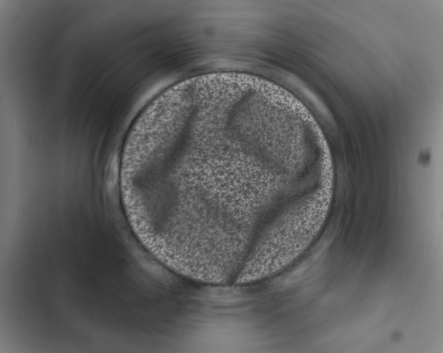X0000102831198200809151032
