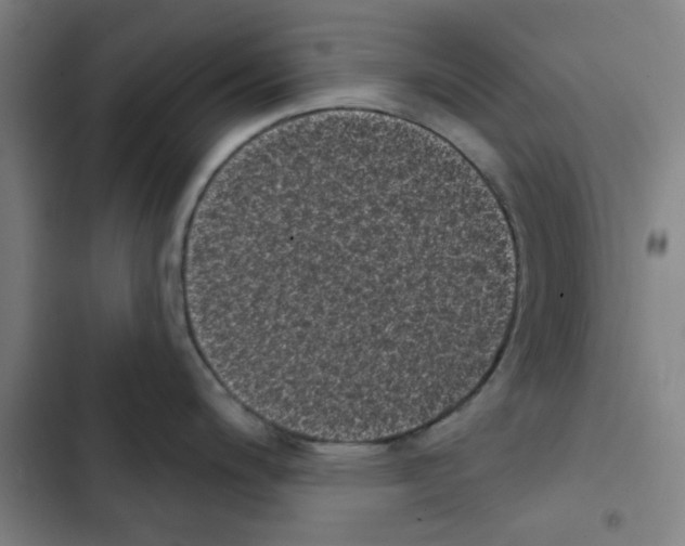 X0000102831200200809151032