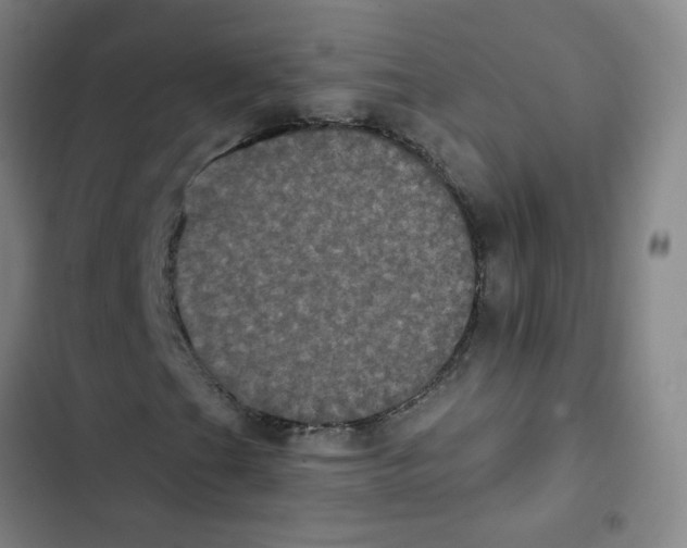 X0000102831201200809151031