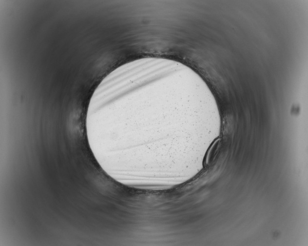 X0000102831202200809151031