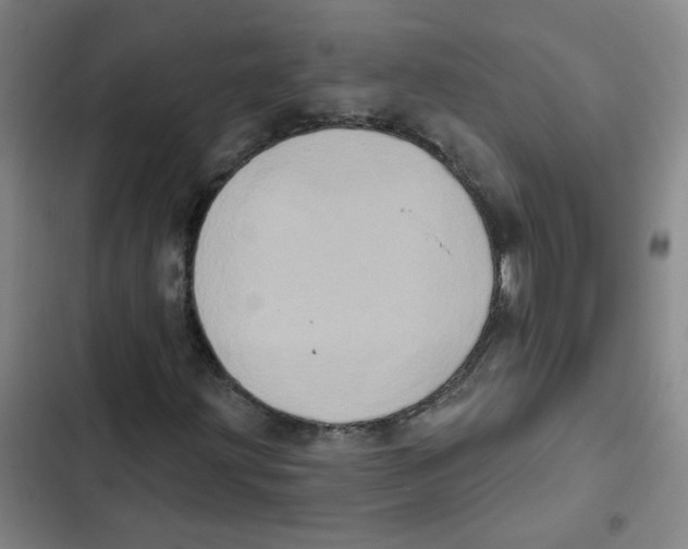 X0000102831203200809151031
