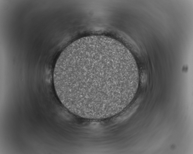 X0000102831204200809151031