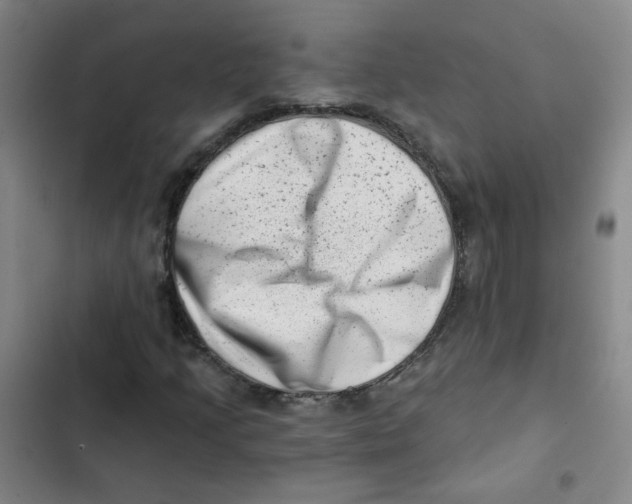 X0000102831205200809151031