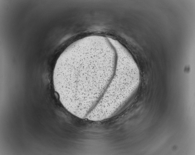 X0000102831206200809151031