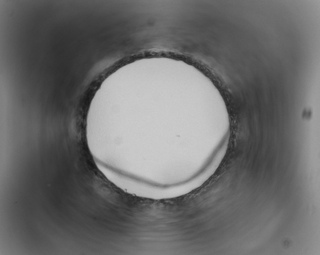 X0000102831207200809151031